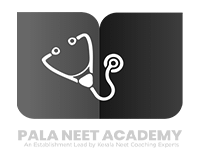 logo 9 pala